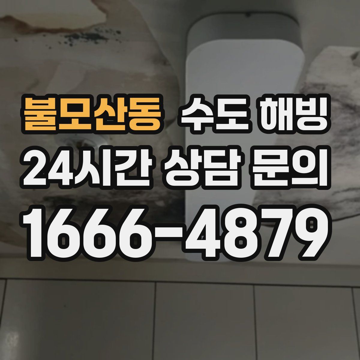 불모산동 수도 해빙