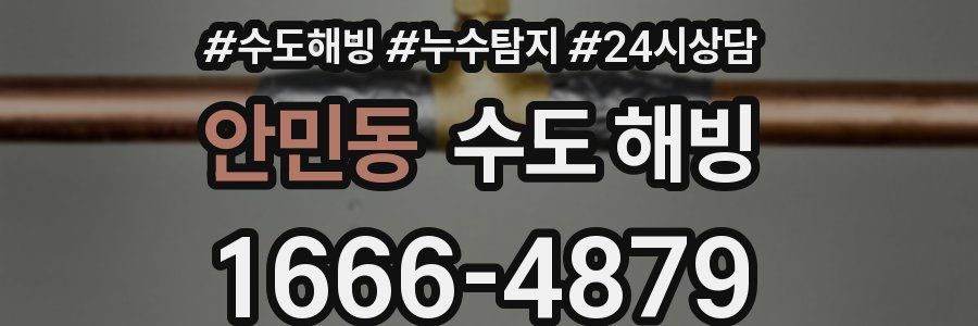 안민동 수도 해빙