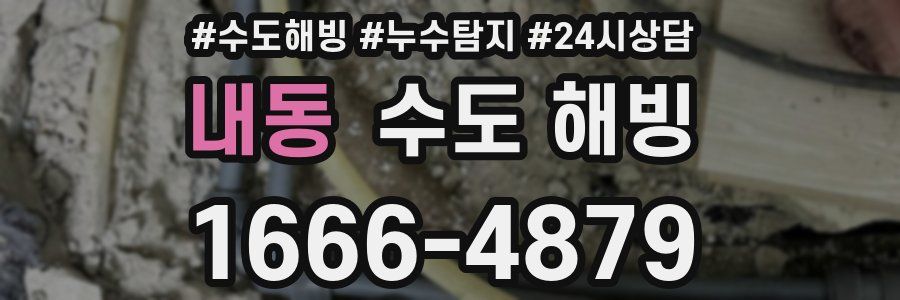 내동 수도 해빙