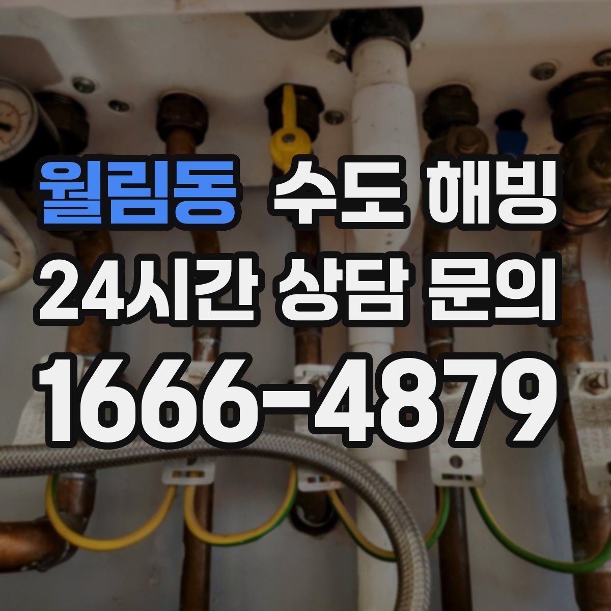 월림동 수도 해빙