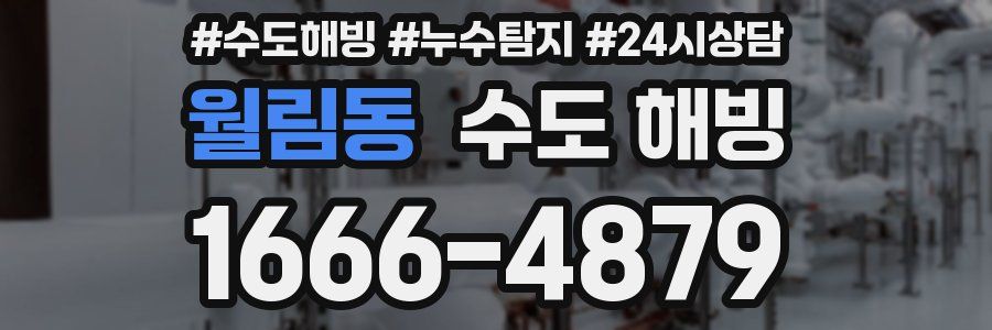 월림동 수도 해빙