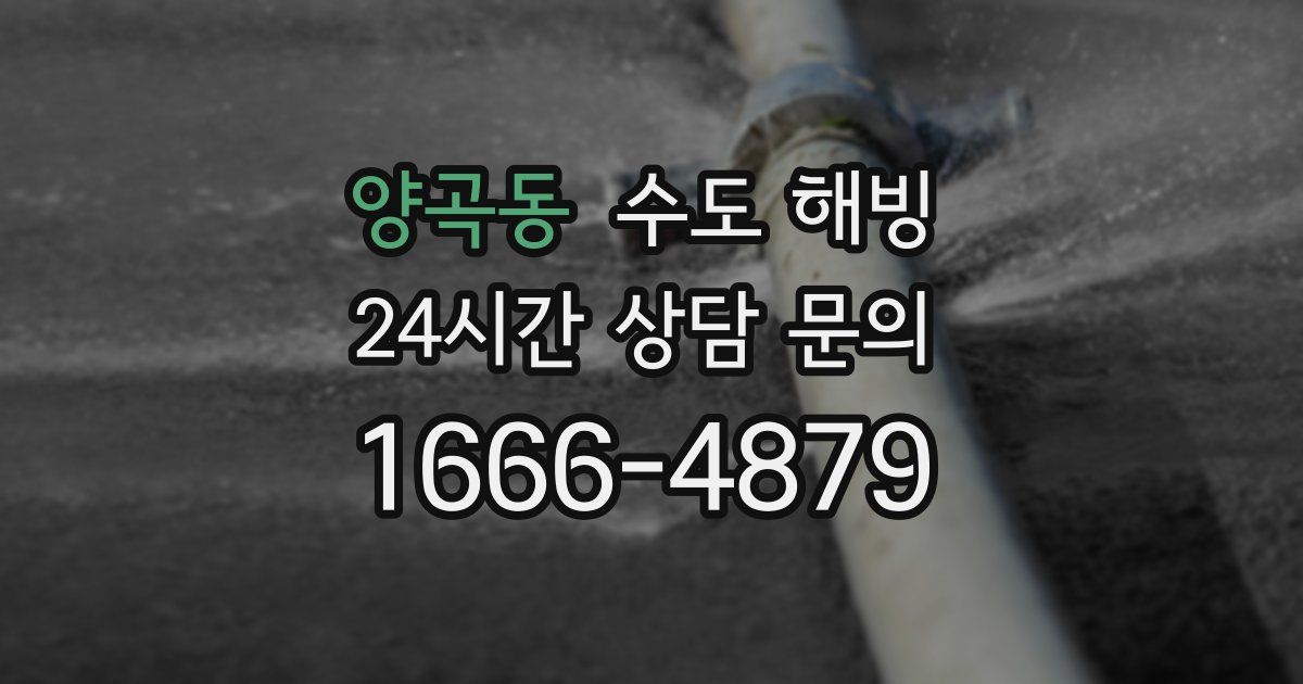 양곡동 수도 해빙