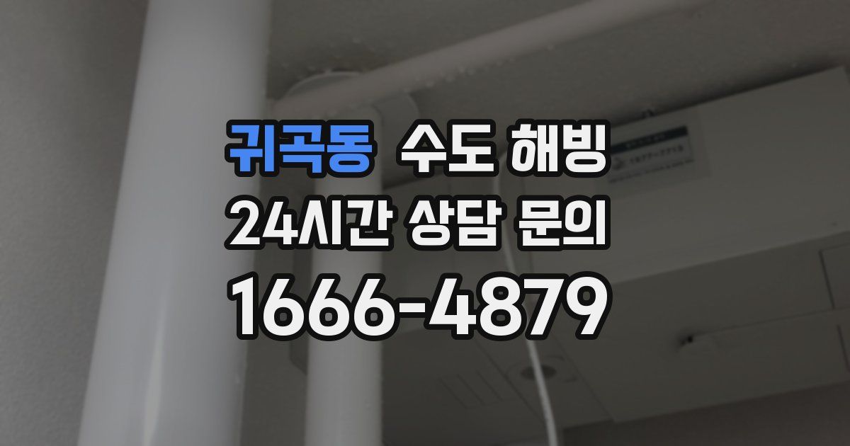 귀곡동 수도 해빙