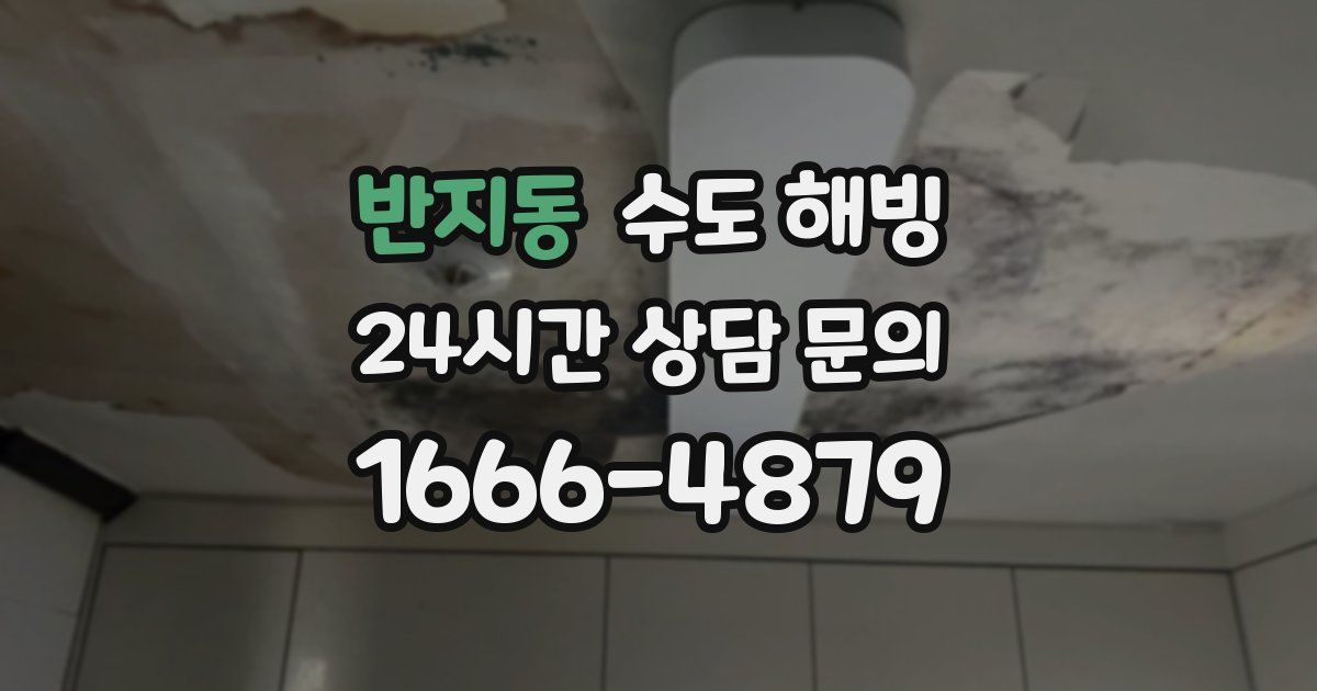 반지동 수도 해빙