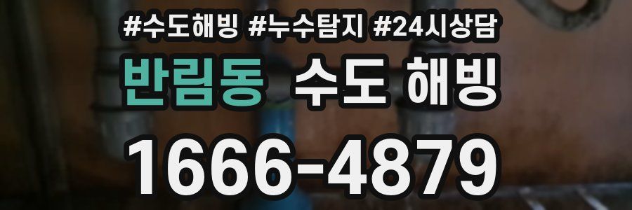 반림동 수도 해빙