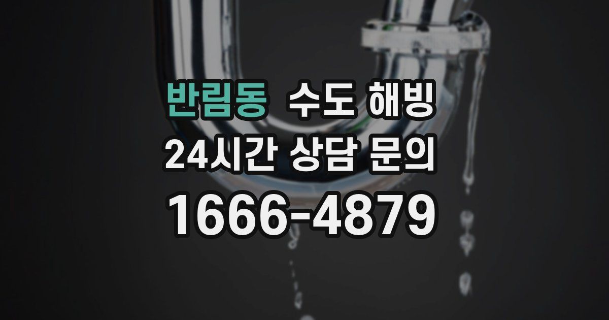 반림동 수도 해빙