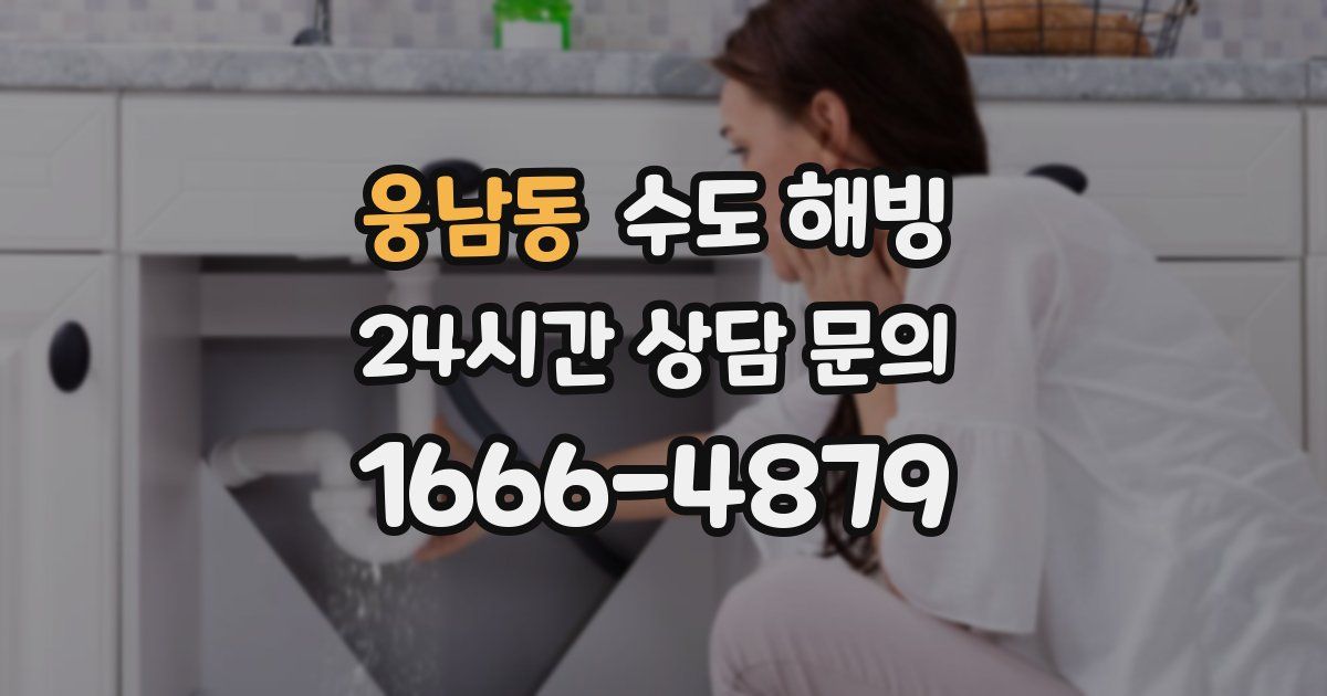 웅남동 수도 해빙