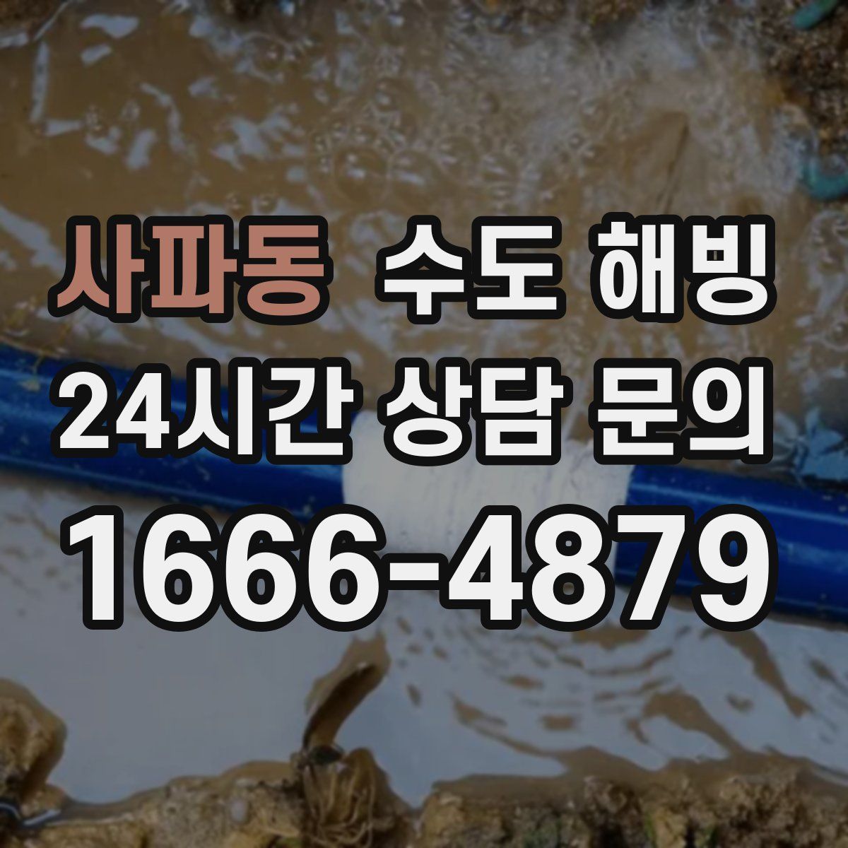 사파동 수도 해빙