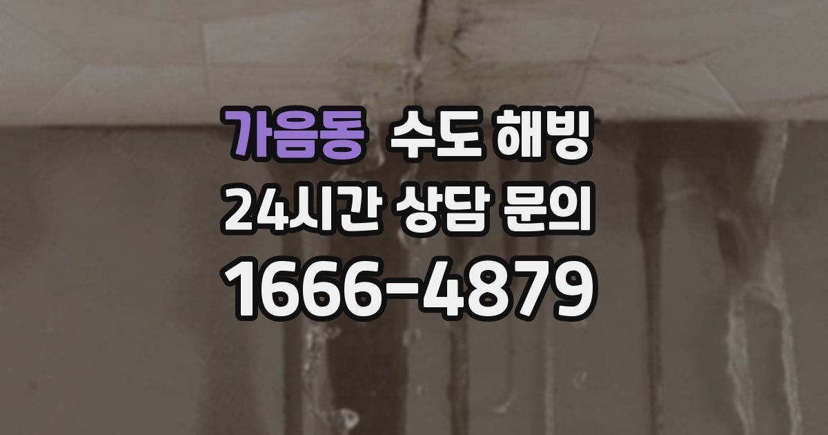 가음동 수도 해빙