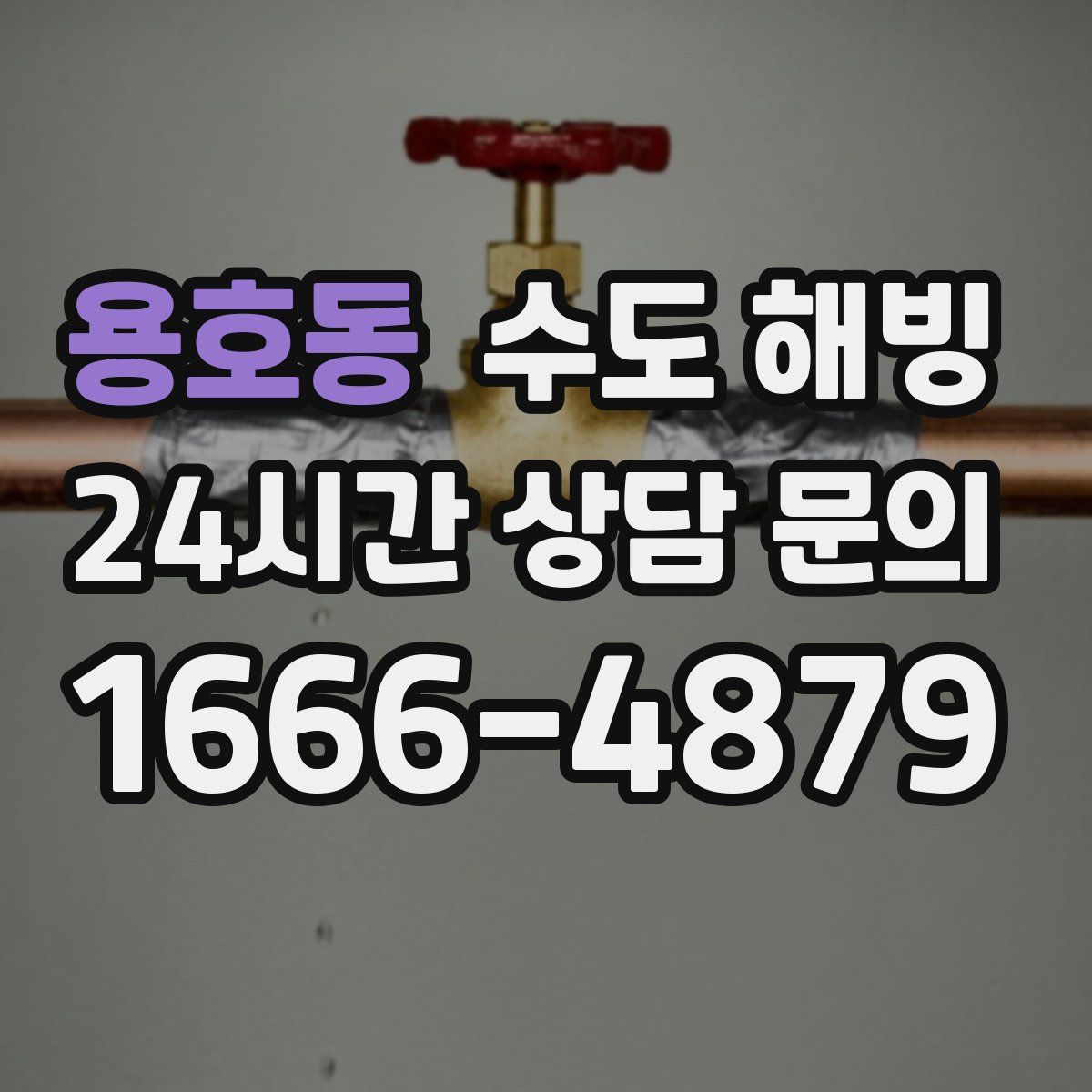 용호동 수도 해빙