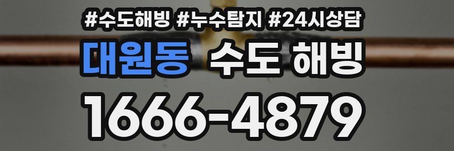 대원동 수도 해빙