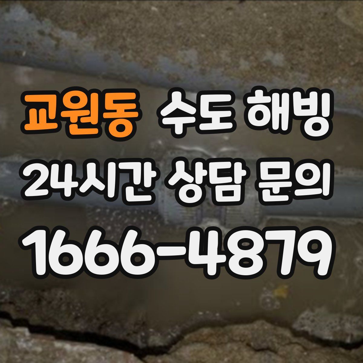 교원동 수도 해빙