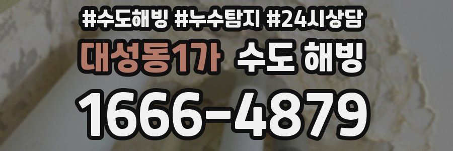 대성동1가 수도 해빙