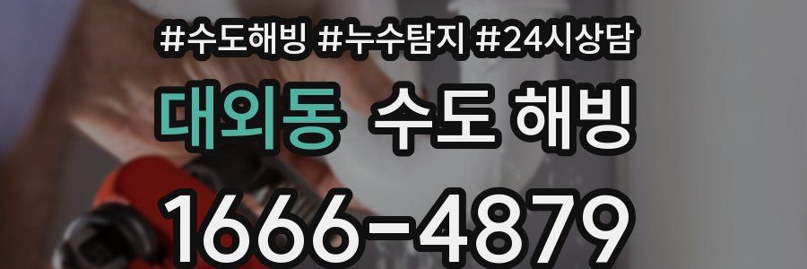 대외동 수도 해빙