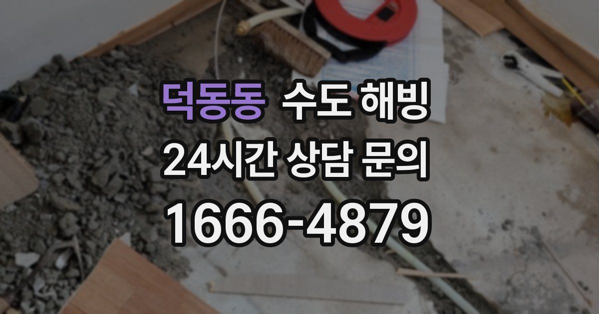 덕동동 수도 해빙