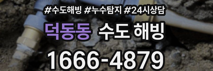 덕동동 수도 해빙