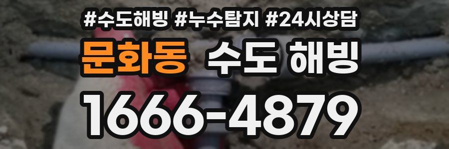 문화동 수도 해빙