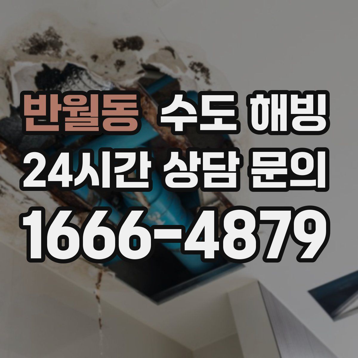 반월동 수도 해빙