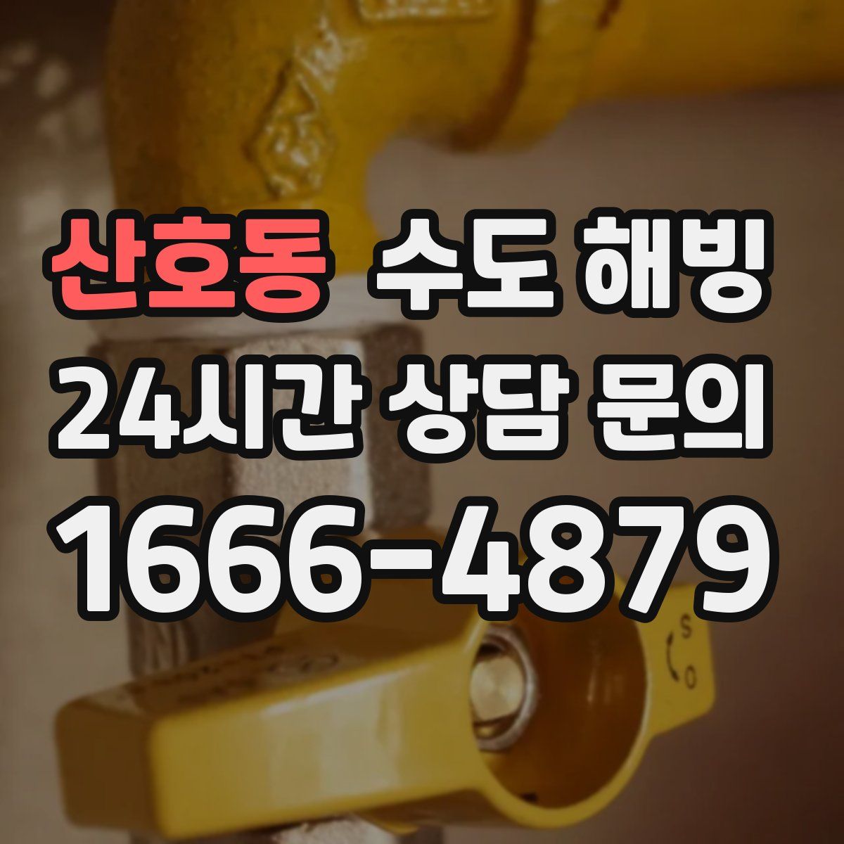 산호동 수도 해빙