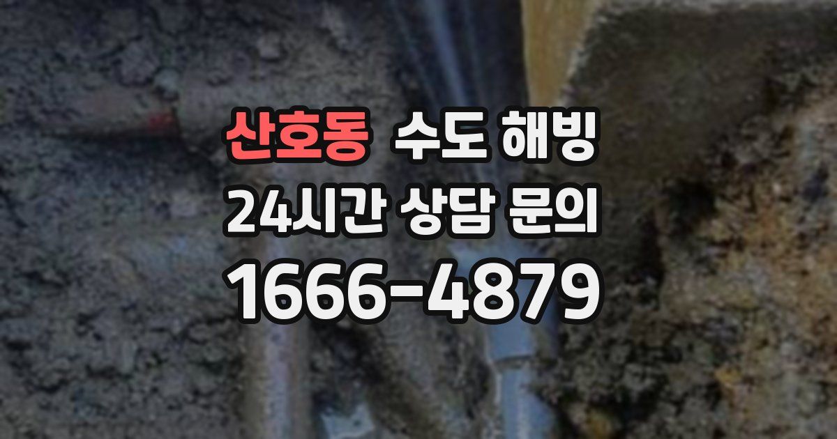 산호동 수도 해빙