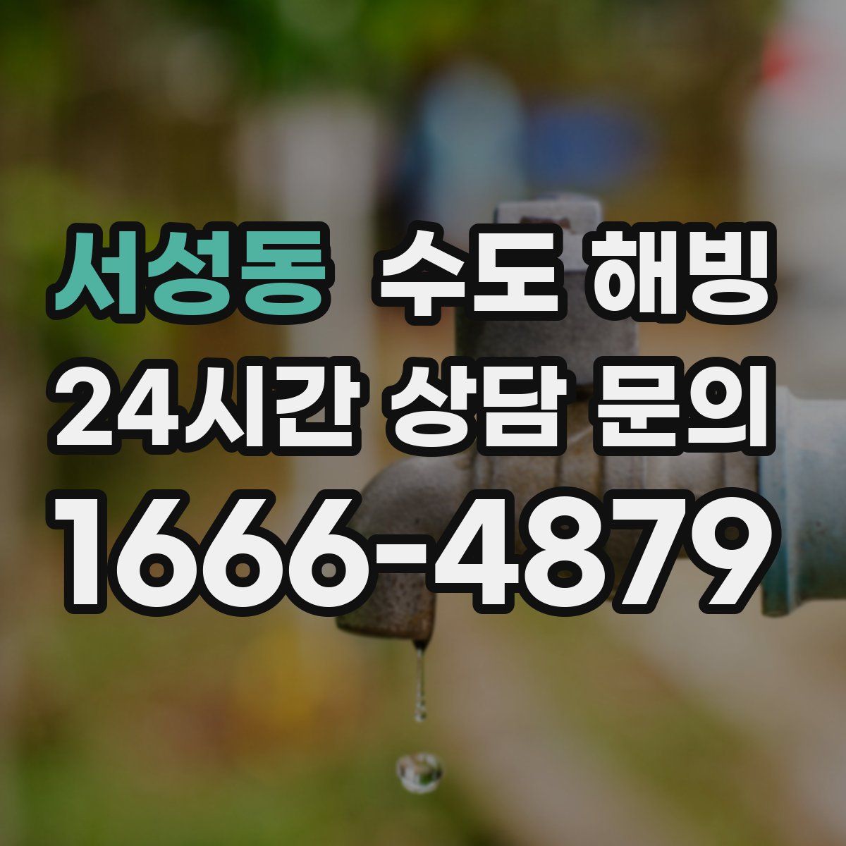 서성동 수도 해빙