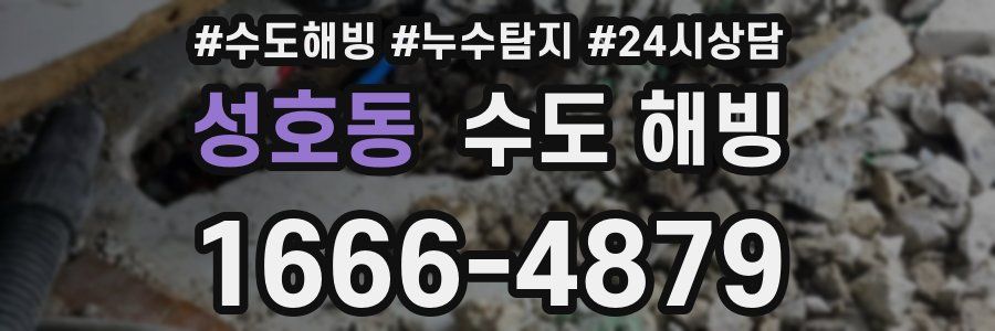성호동 수도 해빙
