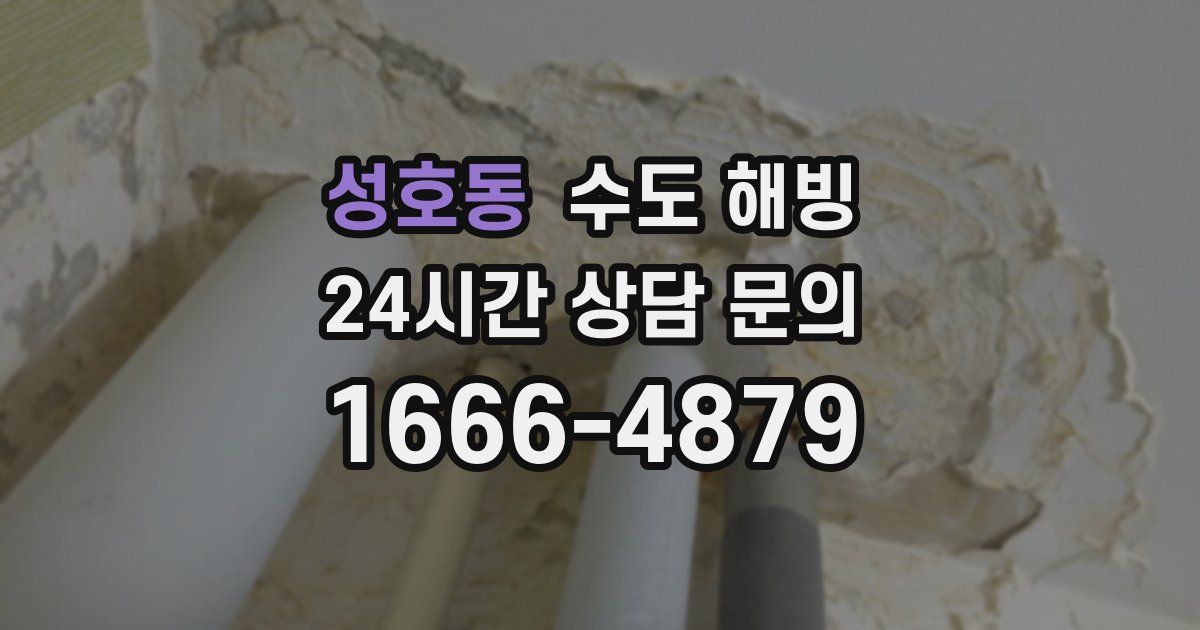 성호동 수도 해빙