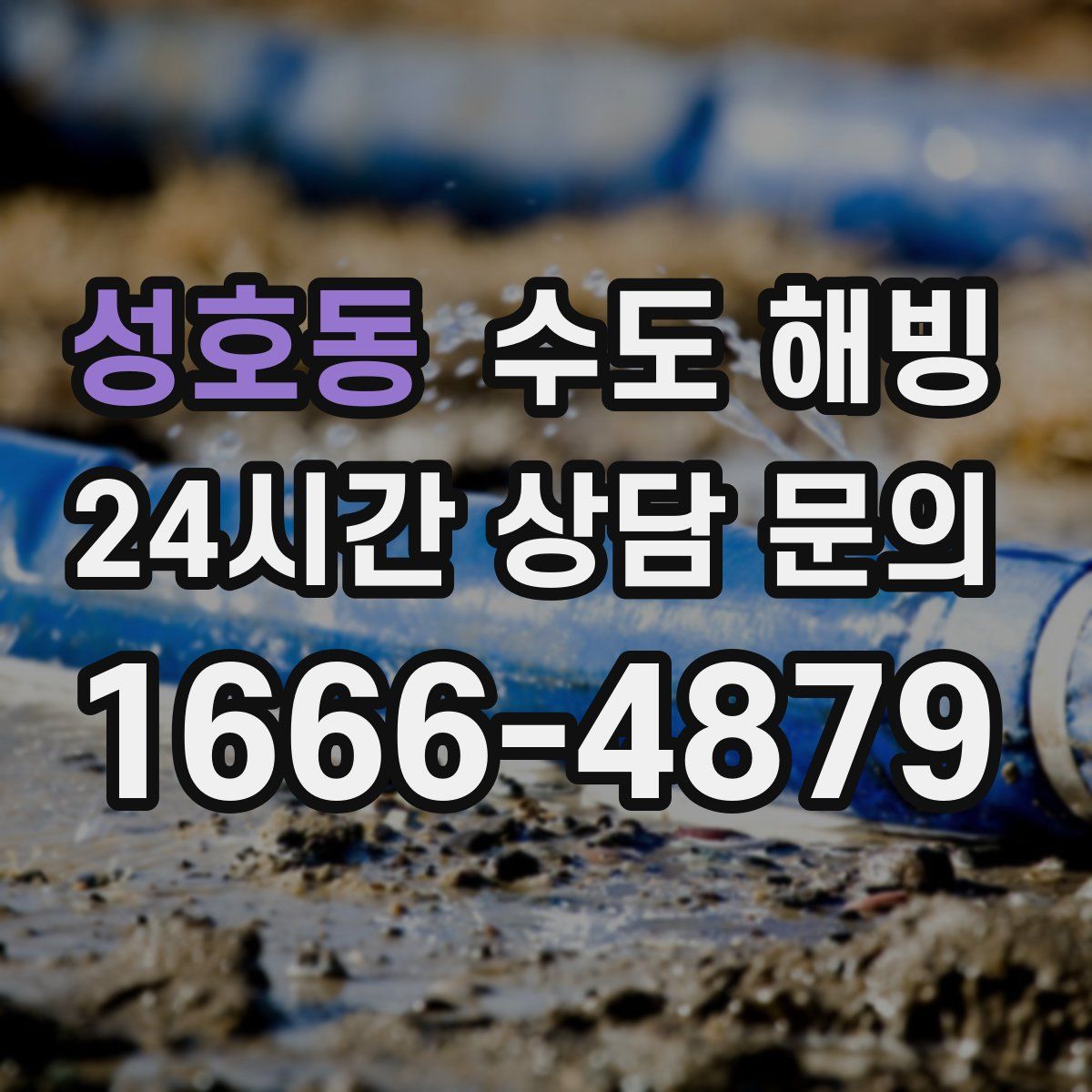 성호동 수도 해빙