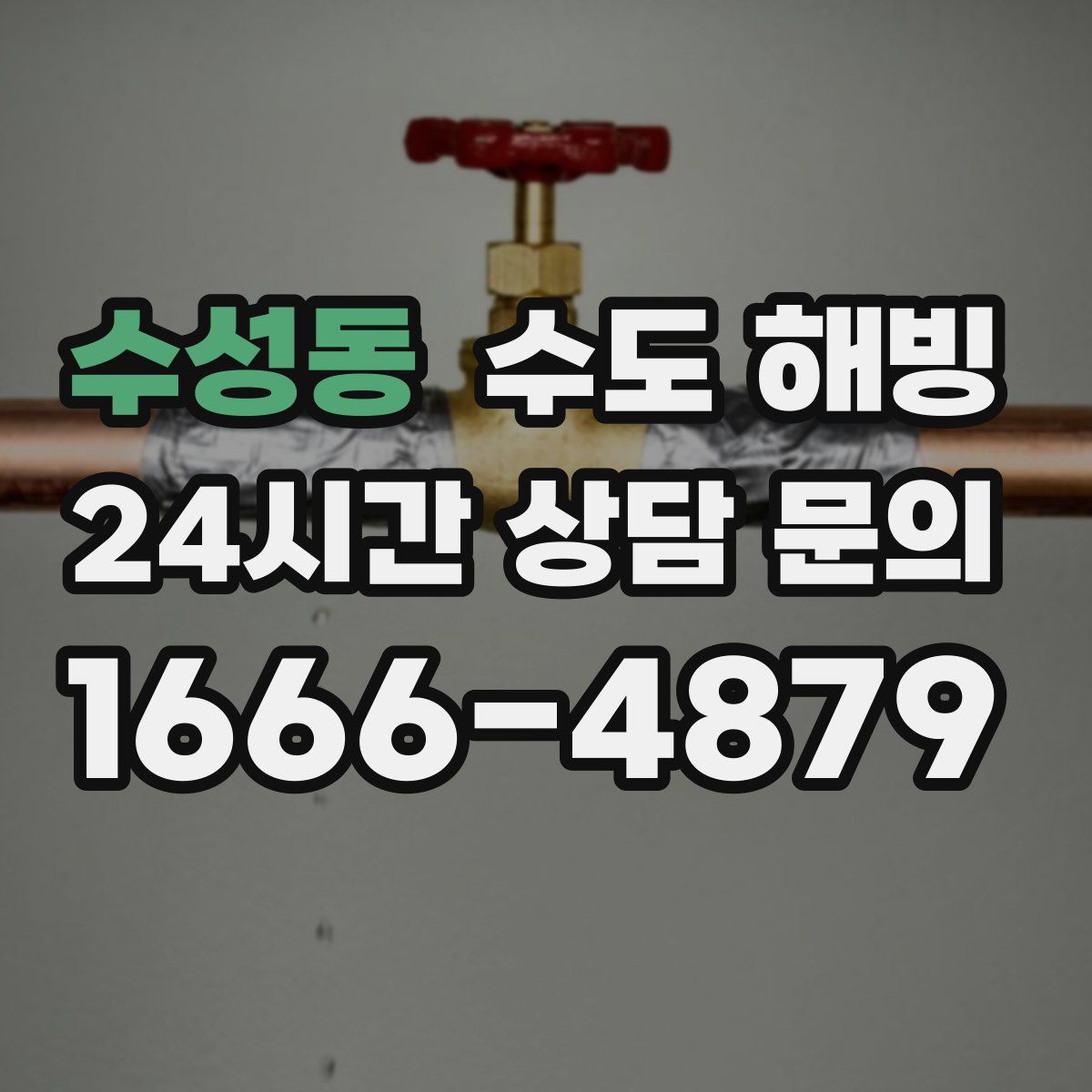 수성동 수도 해빙