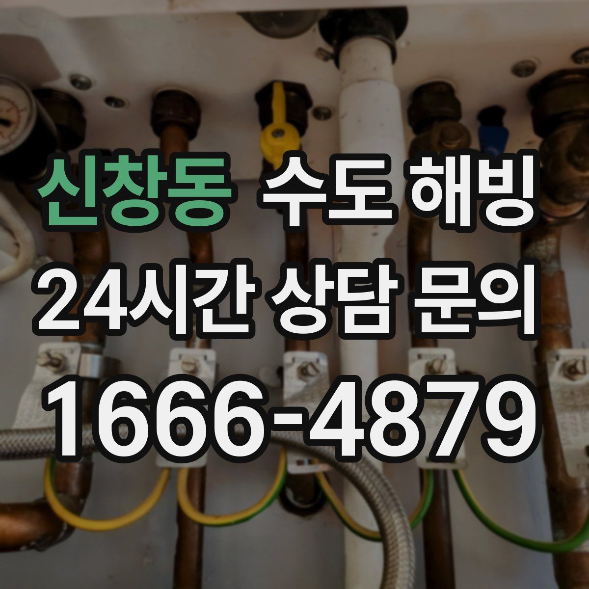 신창동 수도 해빙