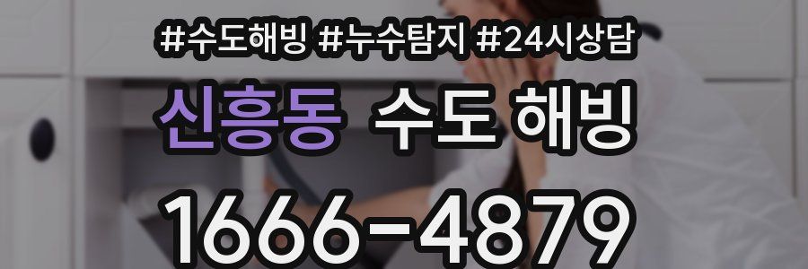 신흥동 수도 해빙