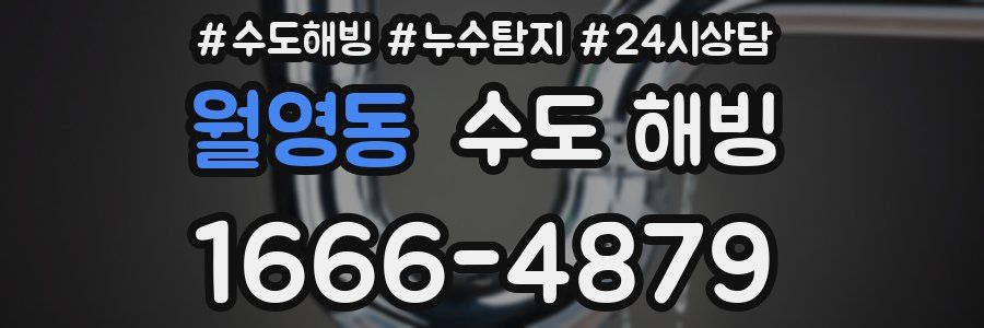 월영동 수도 해빙