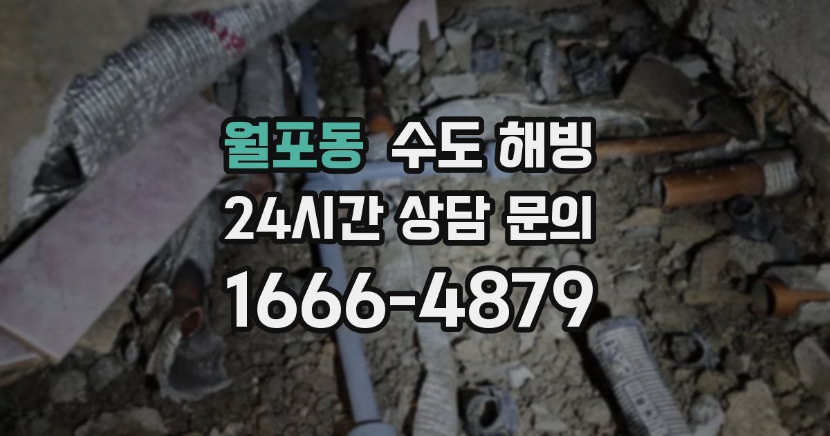 월포동 수도 해빙