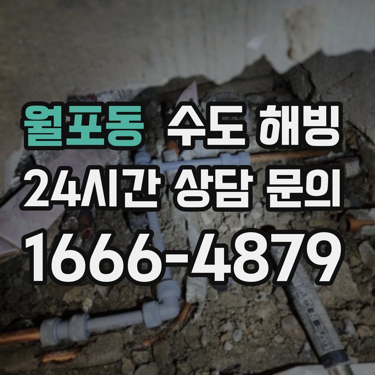 월포동 수도 해빙