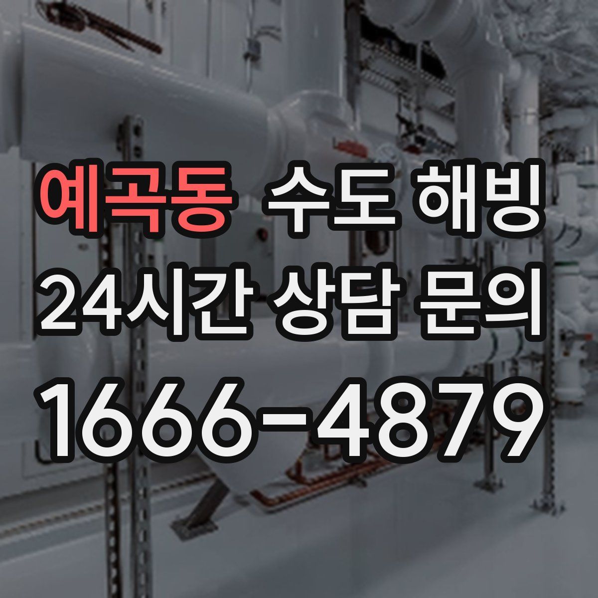 예곡동 수도 해빙