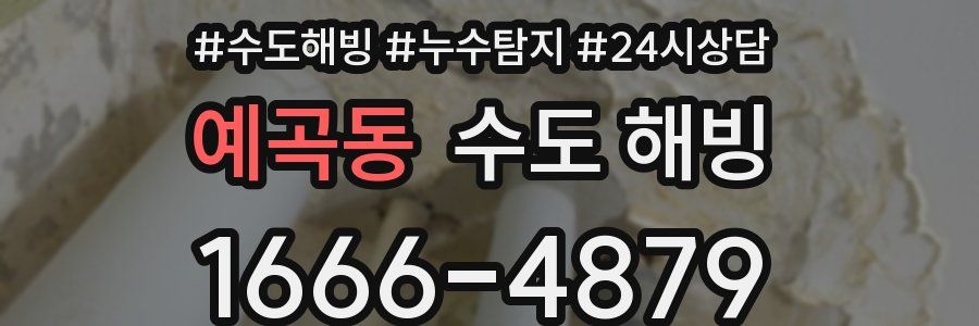 예곡동 수도 해빙