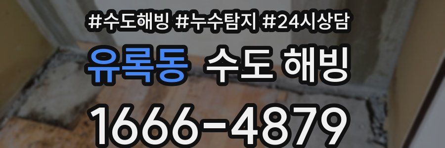 유록동 수도 해빙