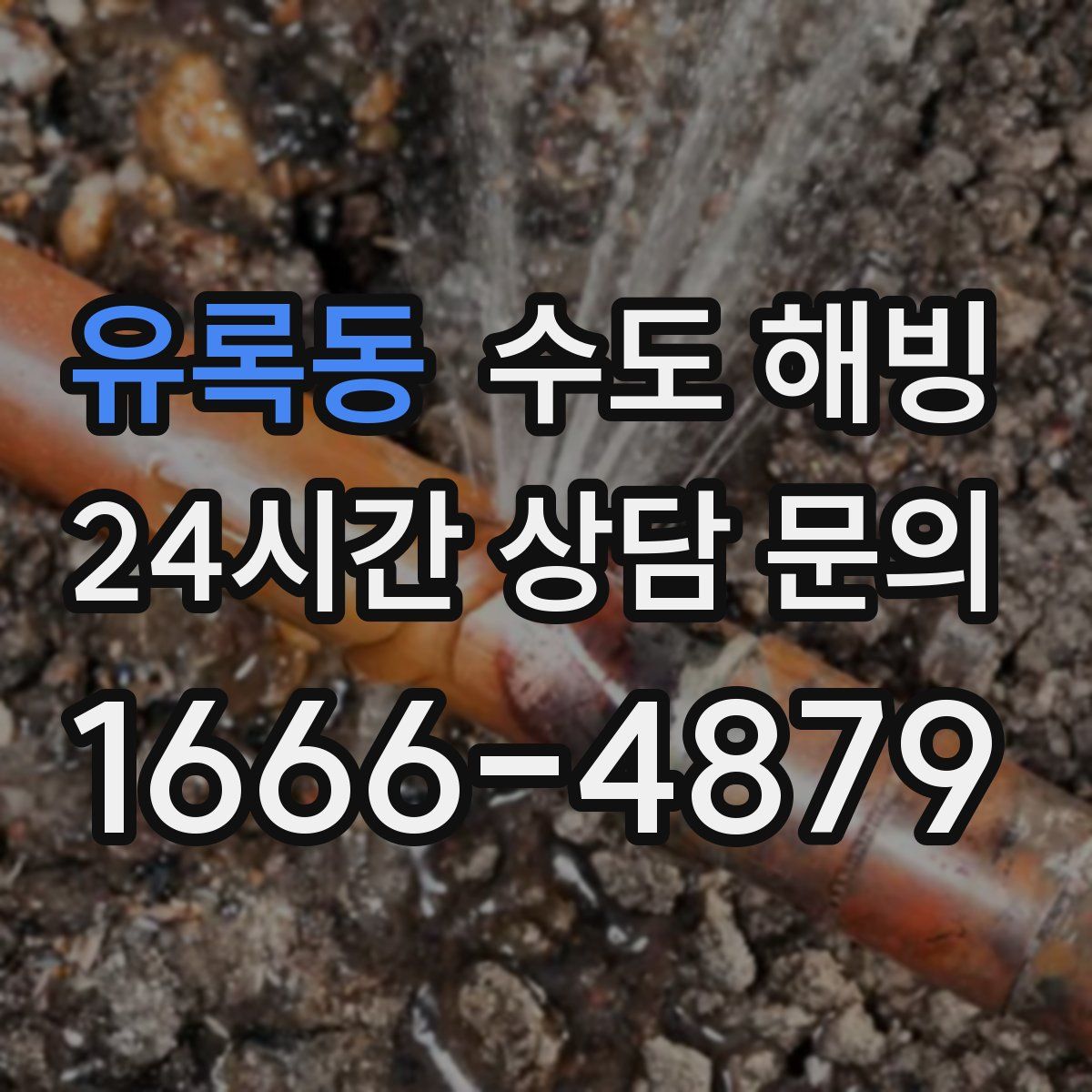 유록동 수도 해빙