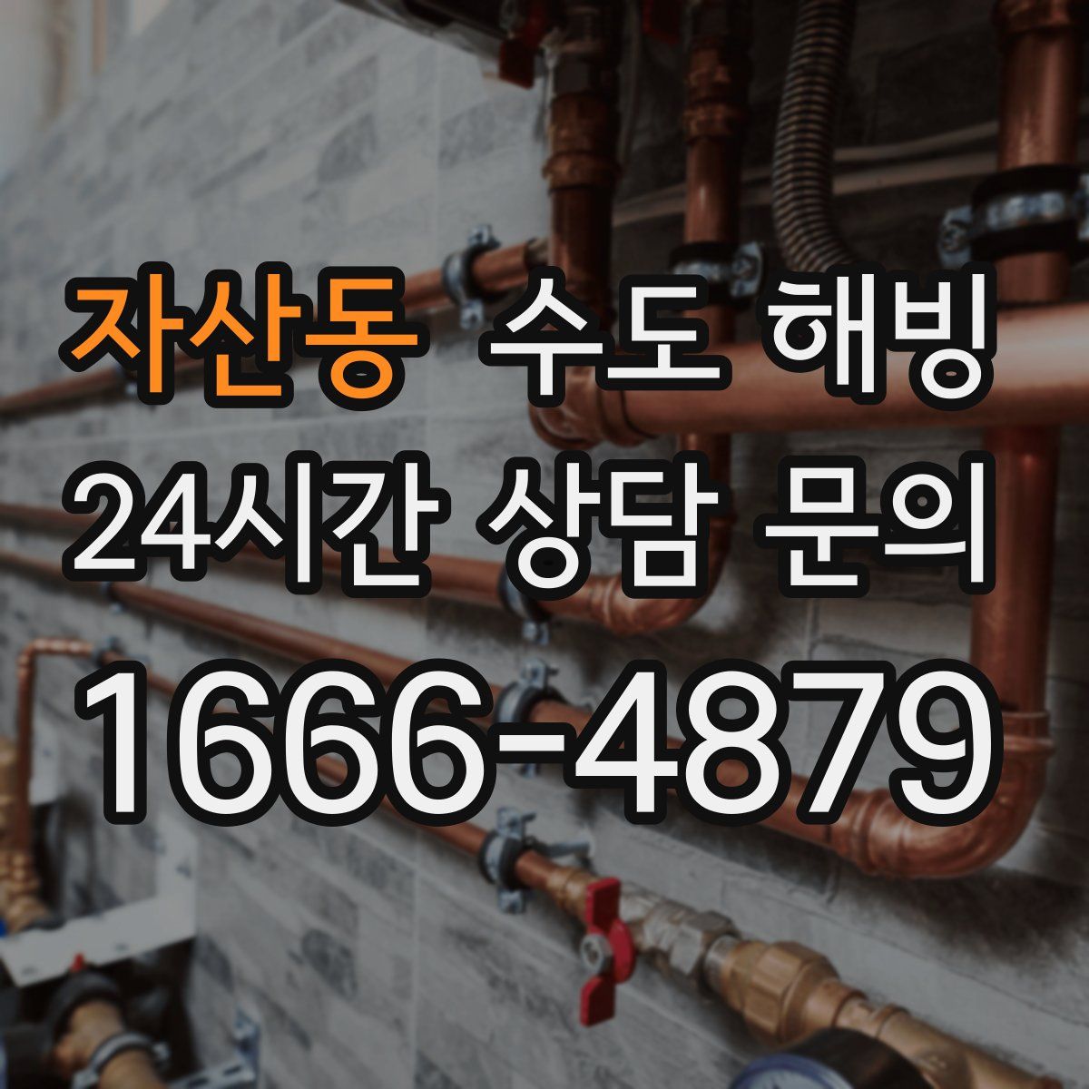 자산동 수도 해빙