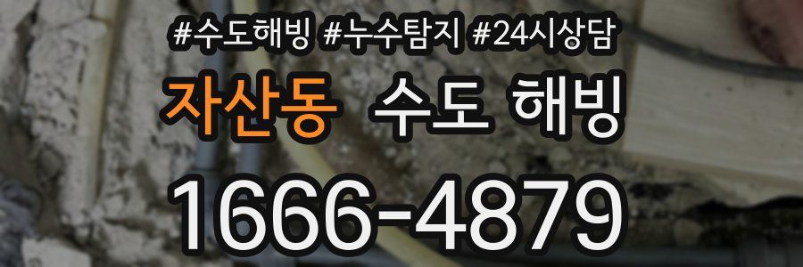 자산동 수도 해빙
