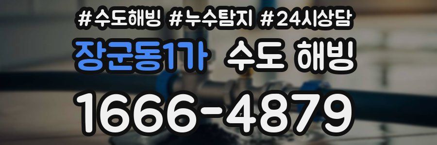 장군동1가 수도 해빙