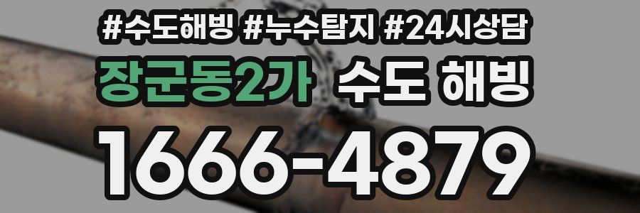 장군동2가 수도 해빙