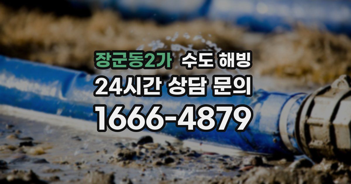 장군동2가 수도 해빙