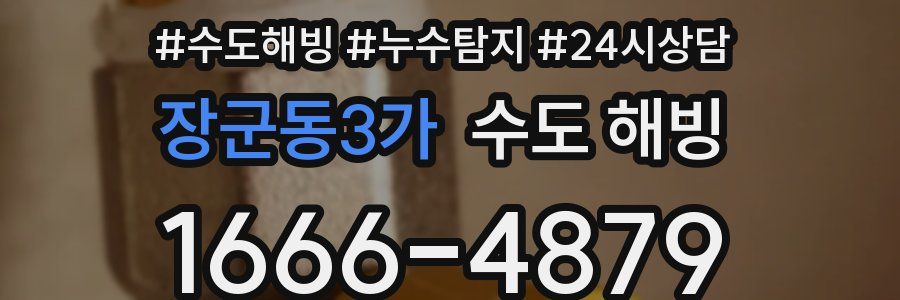 장군동3가 수도 해빙