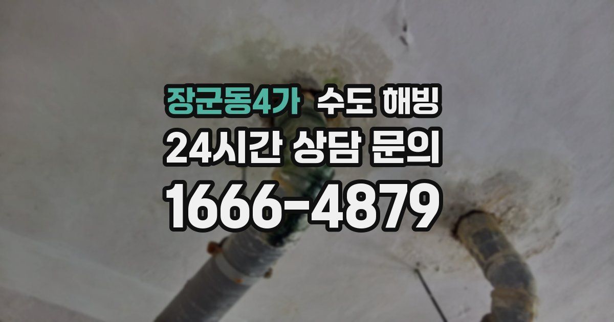장군동4가 수도 해빙
