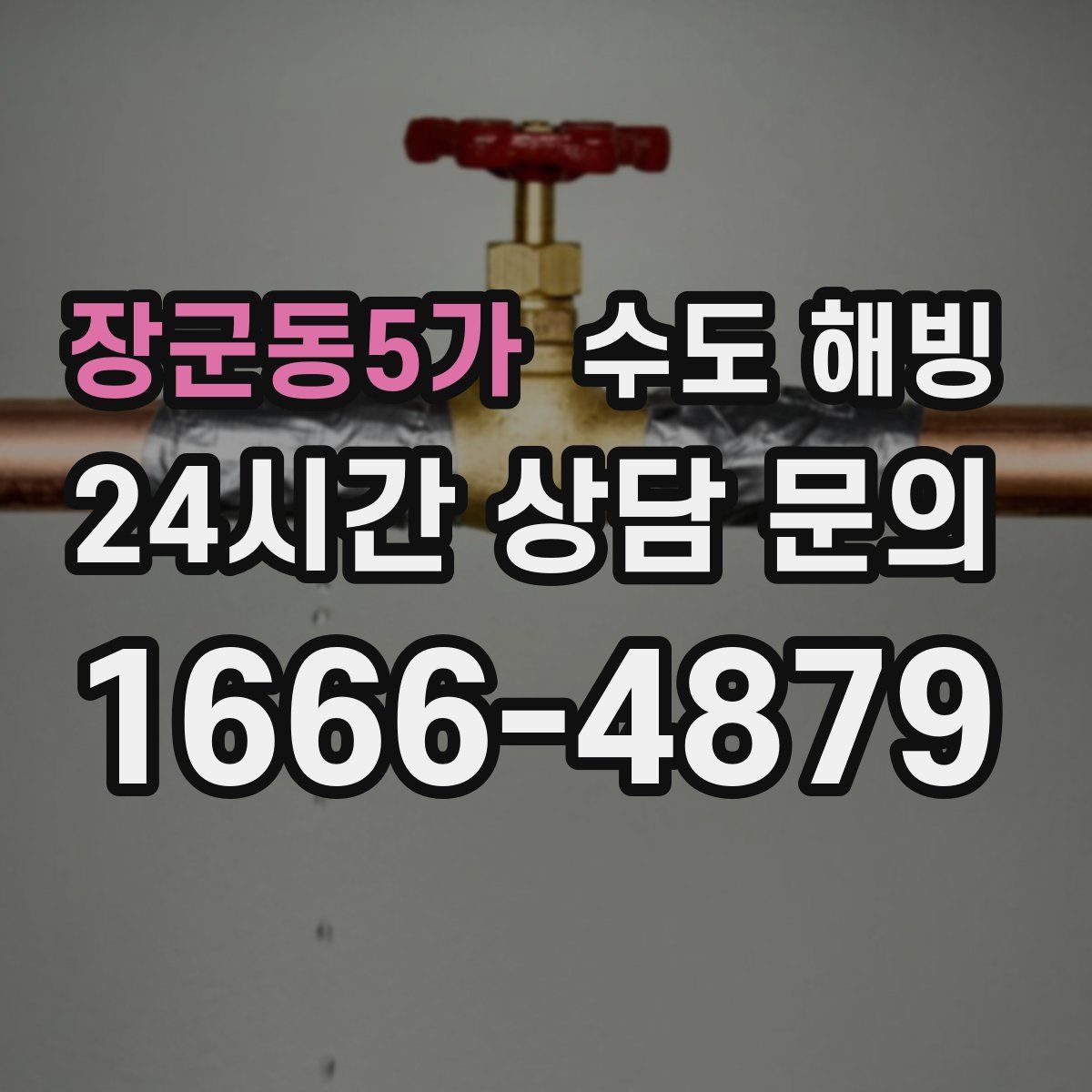 장군동5가 수도 해빙