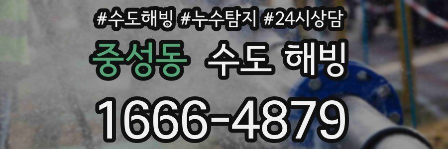 중성동 수도 해빙