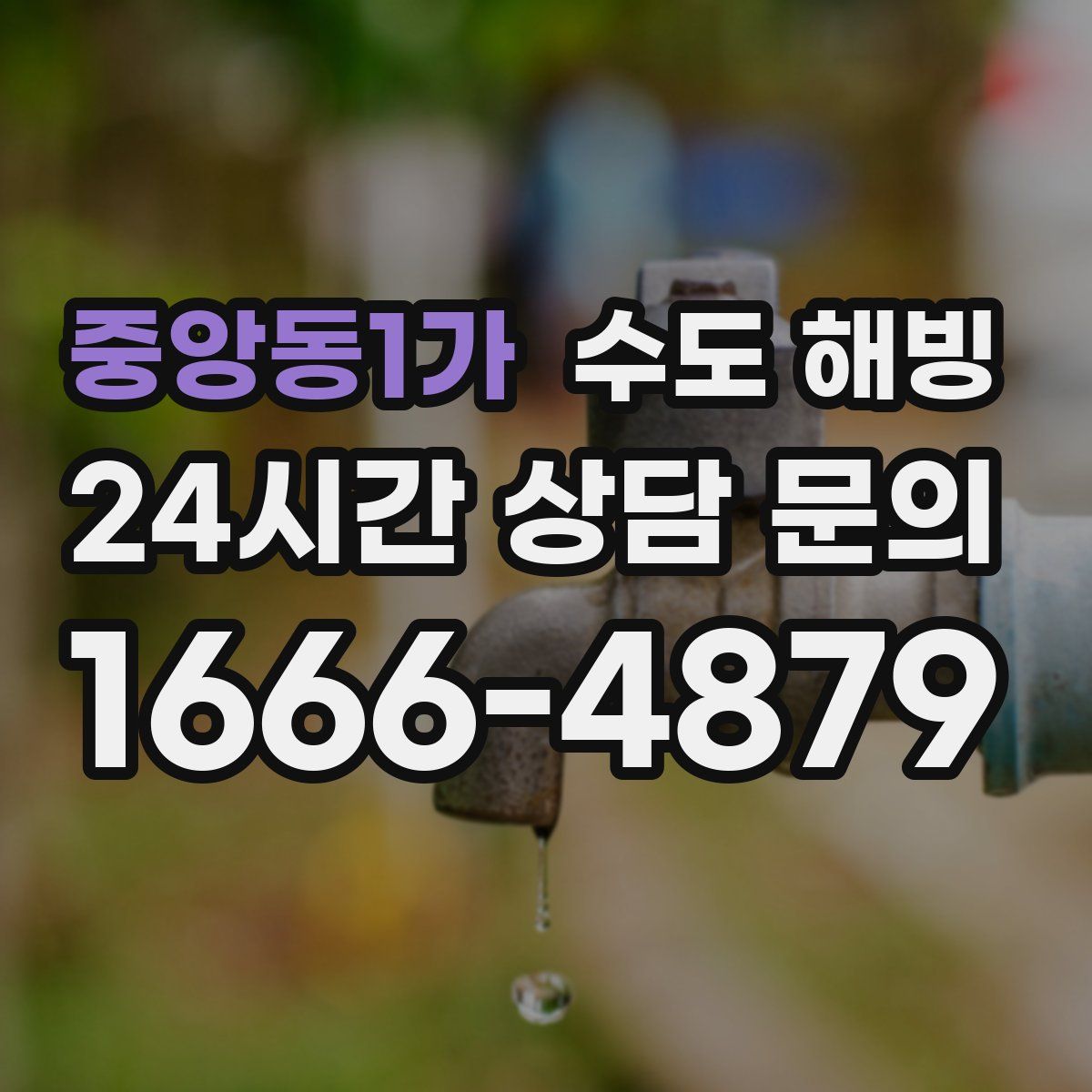 중앙동1가 수도 해빙