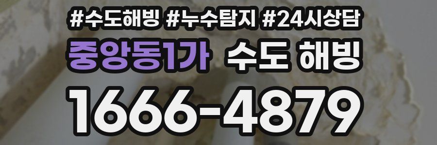 중앙동1가 수도 해빙