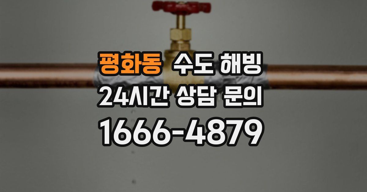 평화동 수도 해빙